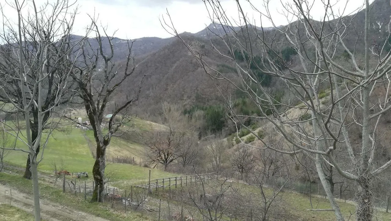 Agriturismo L'Antico Frutto Premilcuore 0*,